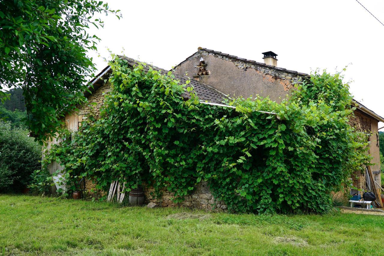 Willa La Prairie Siorac-en-Périgord Zewnętrze zdjęcie